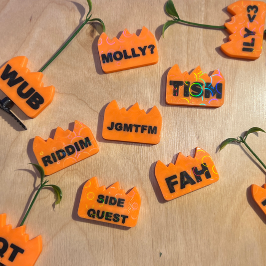 10 Pack Hot Sticker Text Sprout Hair Clips – Rave Flame Clips EDM Festival Accessory